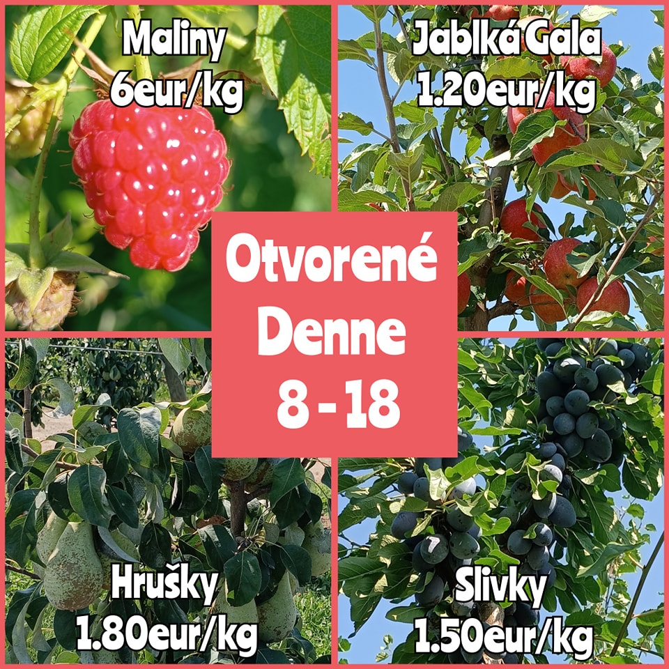 Samozber Ostratice