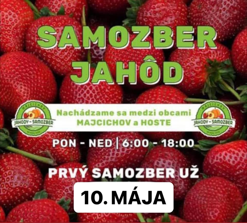 Samozber jahôd Majcichov