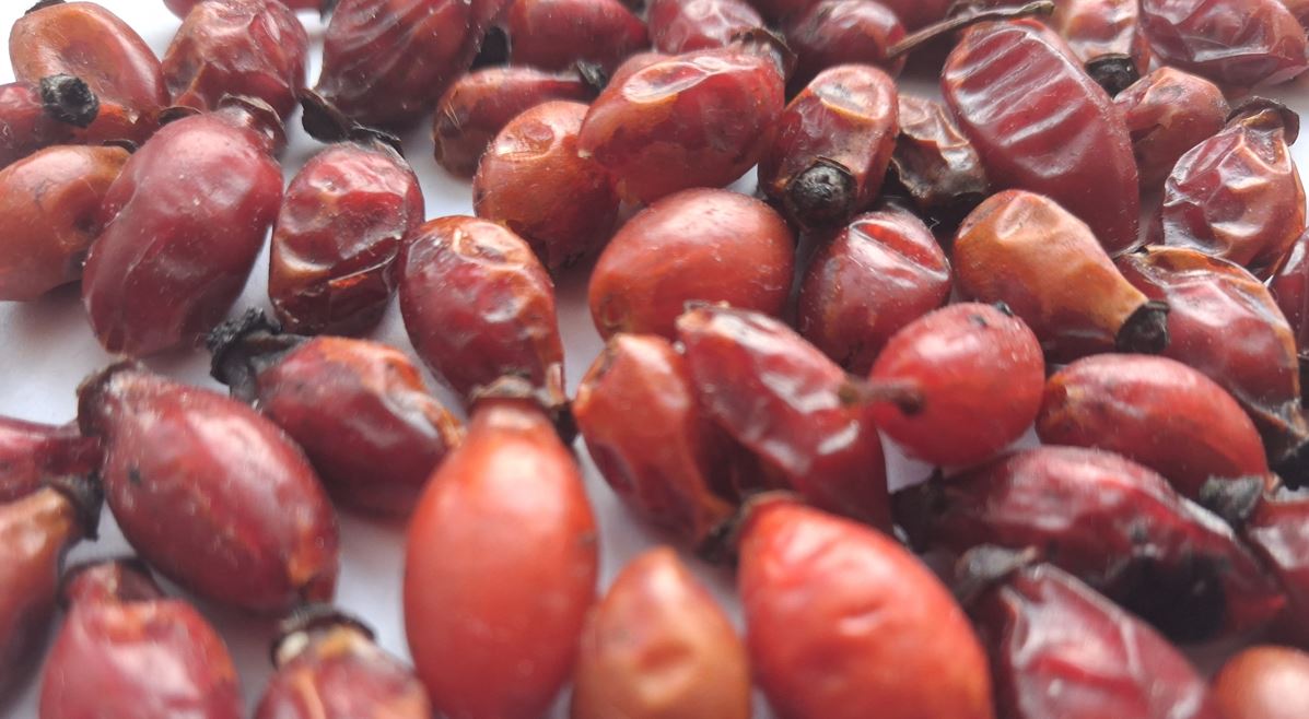 su&scaron;en&eacute; &scaron;&iacute;pky