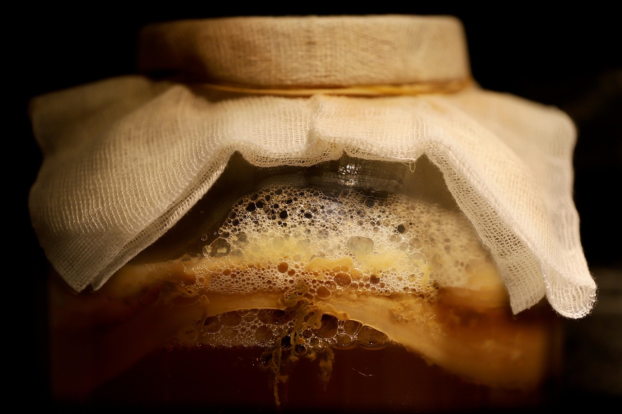 Fermentacia kombucha