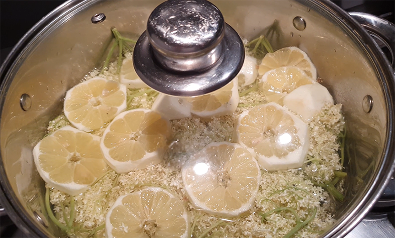 Bazový sirup - macerát