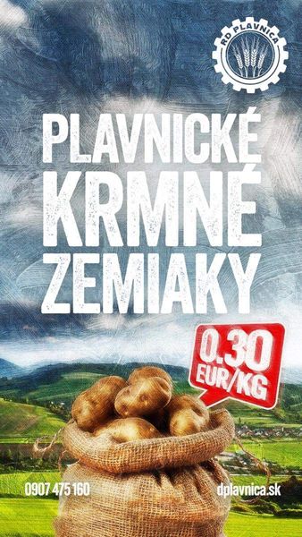 Krmné zemiaky - Roľnícke družstvo v Plavnici