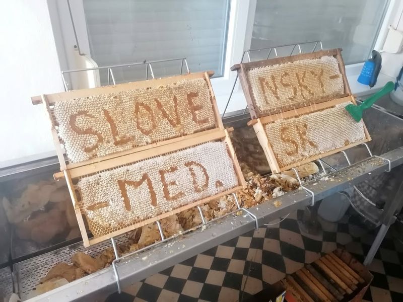 Jarný kvetový včelí med priamo od včelára 