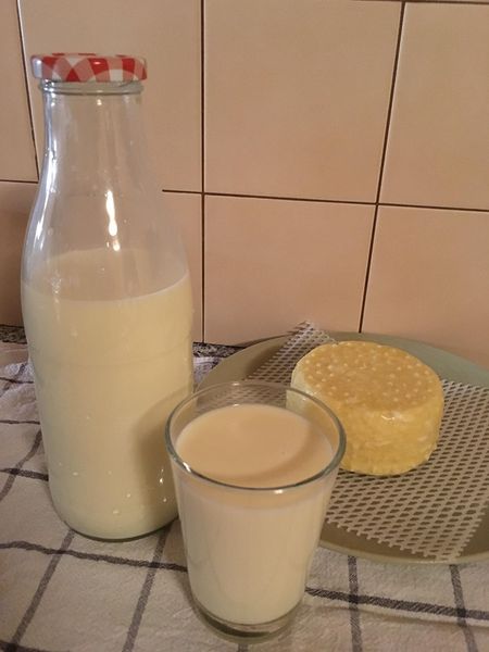 Čerstvé surové mlieko JERSEY