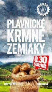 Krmné zemiaky - Roľnícke družstvo v Plavnici