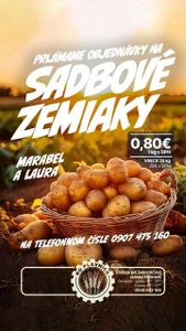 Sadbové zemiaky Marabel a Laura 