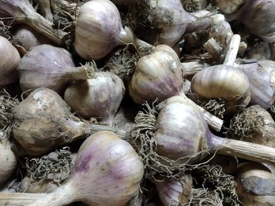 Poctivá domáca zelenina a ovocie – priamo z našej záhrady! 🍅🍏